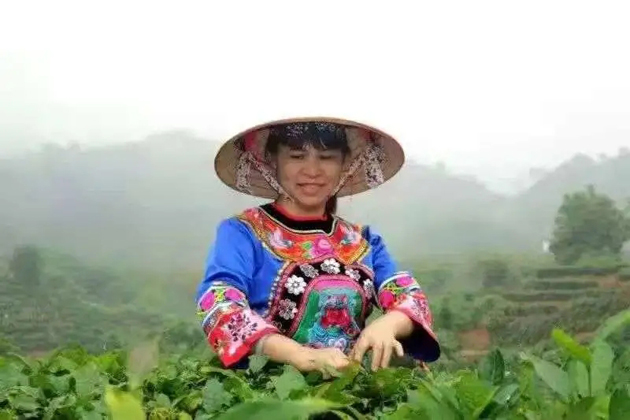 【梧州工匠】劉錦芳：鉆研和創(chuàng)新，帶領(lǐng)鄉(xiāng)親發(fā)家致富