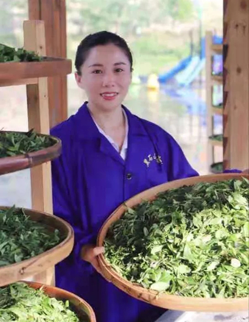 【梧州工匠】石濡菲：擇一茶，修一技，終一生