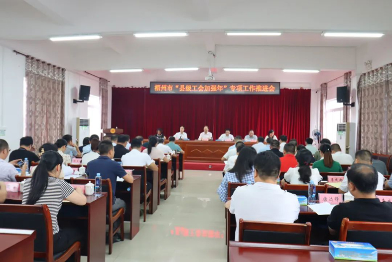 梧州市召開“縣級工會(huì)加強(qiáng)年”專項(xiàng)工作推進(jìn)會(huì)