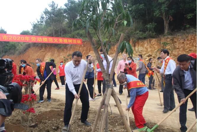 植樹造林，這群楷模這樣做