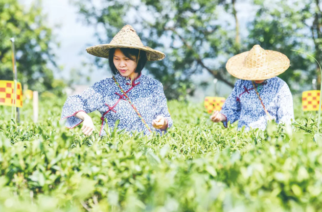 國家批復(fù)同意，梧州籌建！