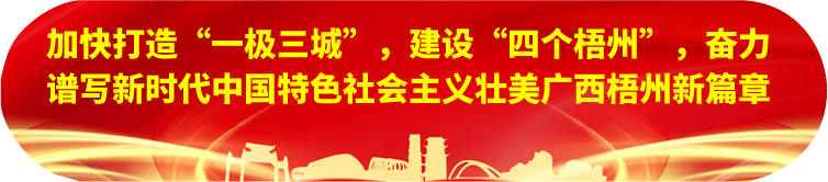 劉寧在梧州蒼梧縣蒙山縣岑溪市調研時強調：完整準確全面貫徹新發(fā)展理念，發(fā)揮優(yōu)勢突出特色推動縣域經濟高質量發(fā)展