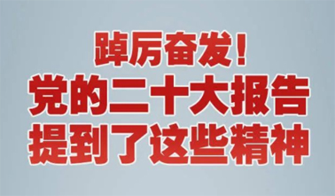 【黨的二十大】踔厲奮發(fā)！黨的二十大報(bào)告提到了這些精神