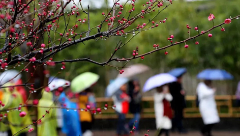今日雨水！別忘了咱的老講究！