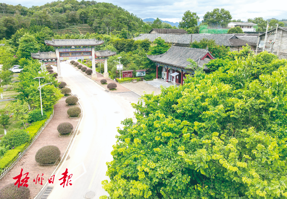 梧州全市生態(tài)茶園面積達(dá)33.34萬畝！