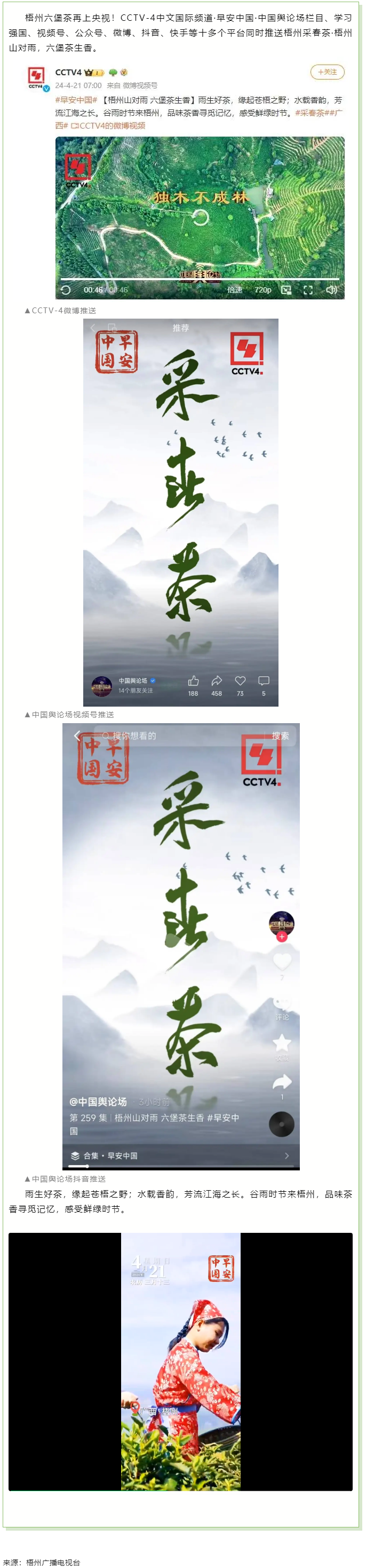 央視、學習強國等十多個平臺同時推送梧州采春茶·梧州六堡茶.png