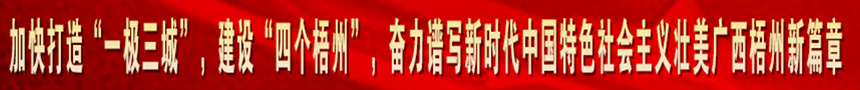 加快打造“一級(jí)三城市”，建設(shè)“四個(gè)梧州”，奮力譜寫(xiě)新時(shí)代中國(guó)特色社會(huì)主義壯美廣西梧州新篇章